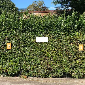 Casa Nonna Elide Appartamento Besozzo